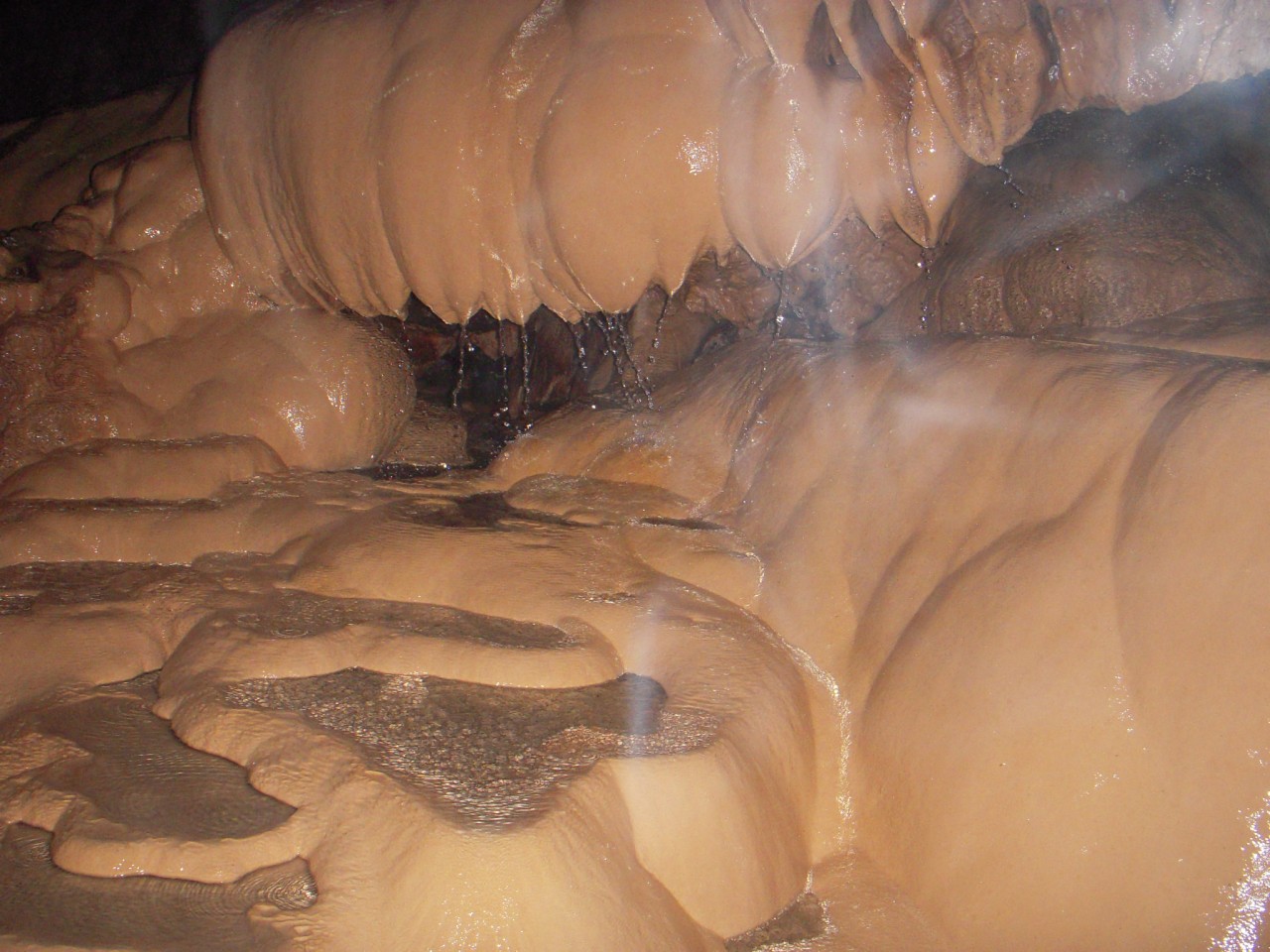 SAGADA - 8