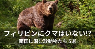 「フィリピンにクマはいない!?」南国に潜む珍動物たち 5選
