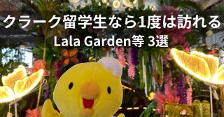 クラーク留学生なら一度が訪れる ～Lala Garden Cafe等 3選～