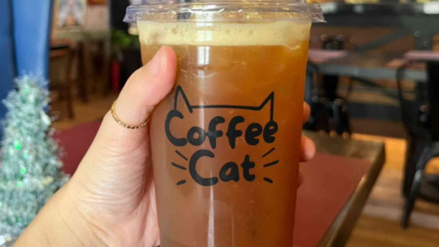 クラーク留学生なら一度が訪れる ～Lala Garden Cafe等 3選～ - 15