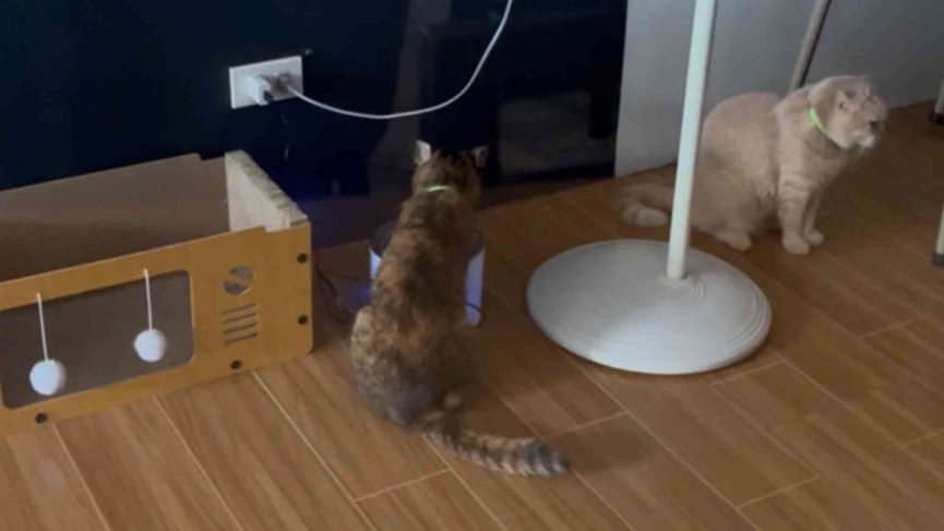 クラーク留学生なら一度が訪れる ～Lala Garden Cafe等 3選～ - 17