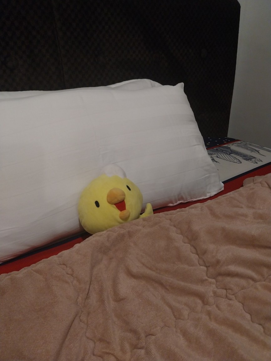 フィリピン・バギオ地域でも現地スタッフがサポートします|CEBU21 - 16