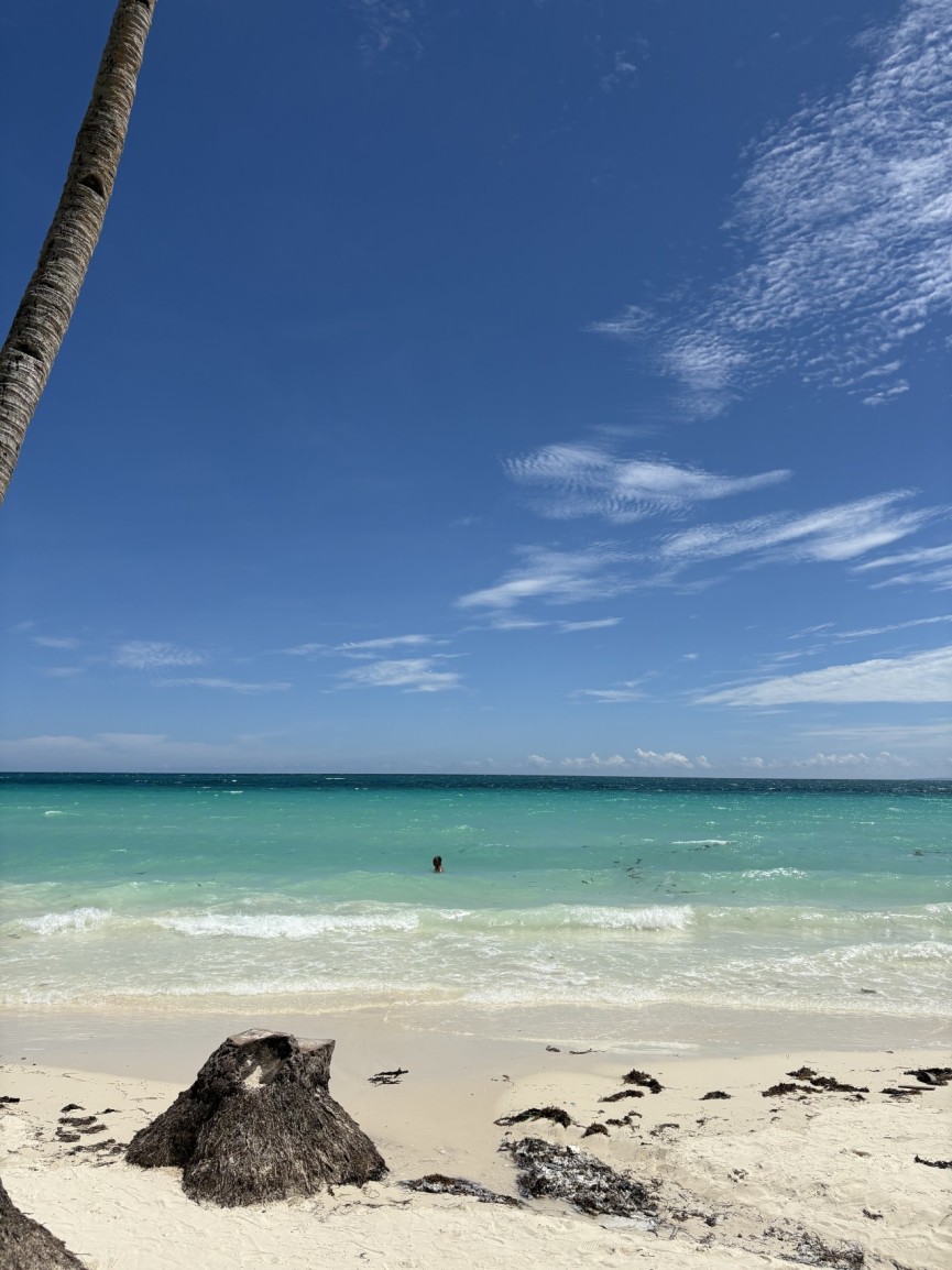 セブに現地スタッフが着任しました！ - 2