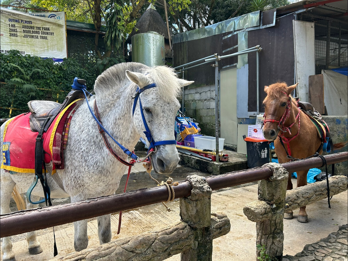 ff1da65b590e53755fb5677ccdd0d878_1773724041_1287.png ff1da65b590e53755fb5677ccdd0d878_1773724041_1287.png