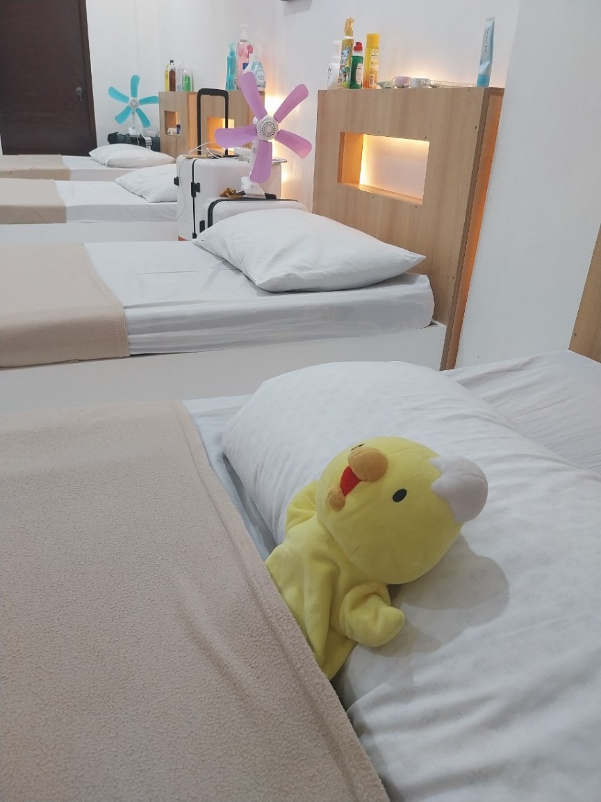 1週間かけてセブの学校を回ってきました。 - 7