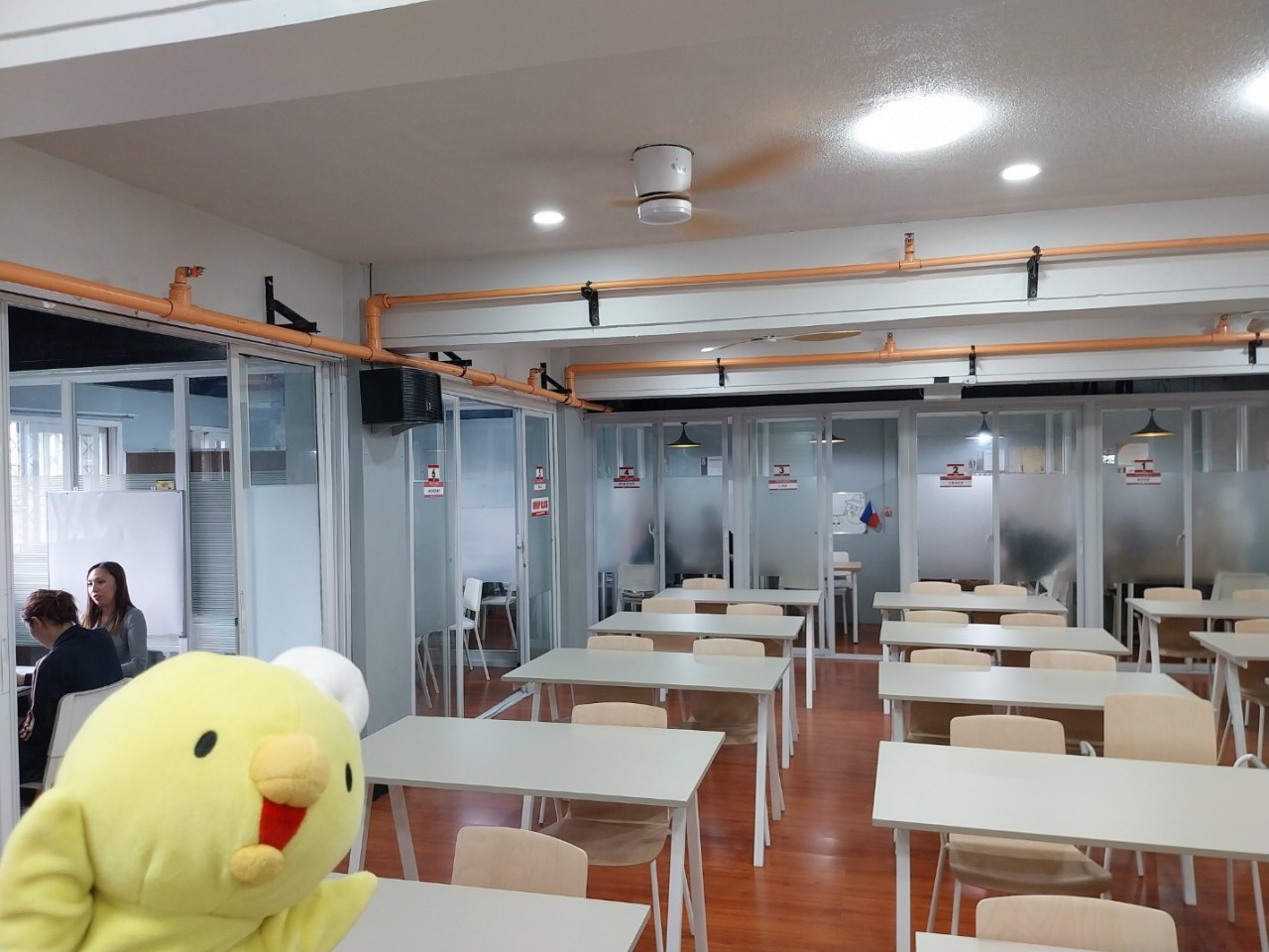 バギオの学校視察　With　フィリピヨくん - 14