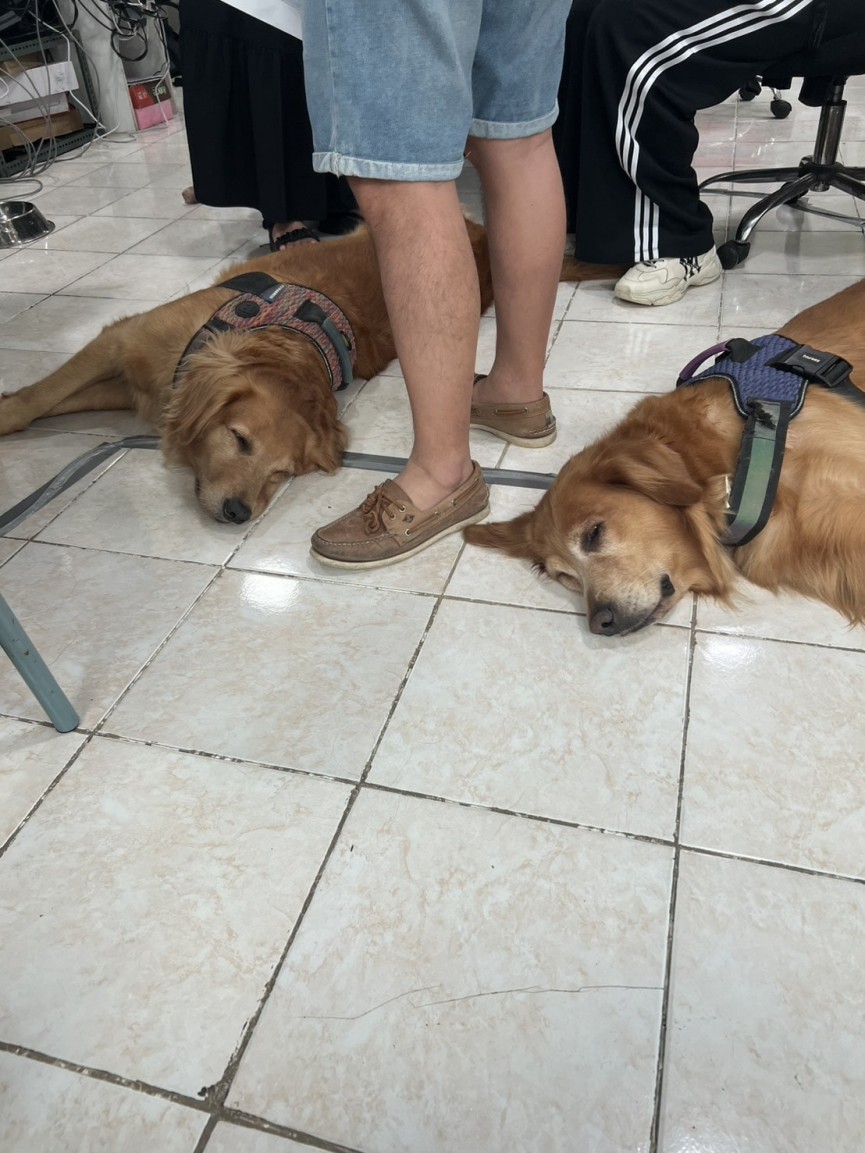 #663 Yuka（20代女性）English Fella 1（セブ島/セブシティ郊外）PIC4コース 8週間| フィリピン留学 - img8 - 0