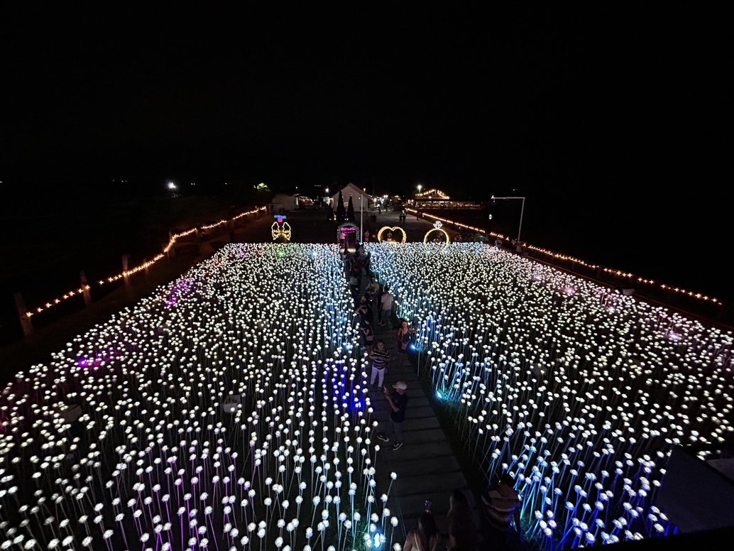 夜のロマンチックな10000 ROSES